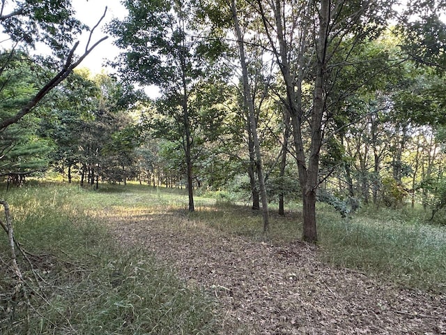 Listing photo 3 for LOT4 Davis St, Verona WI 53593