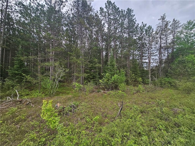 Listing photo 3 for LOT72 Brook Ln, Hayward WI 54843