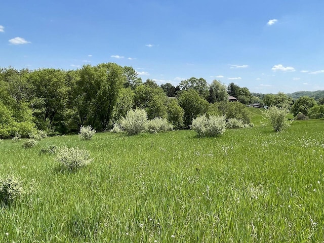 L637-638 Rhine Dr, La Valle WI, 53941 land for sale