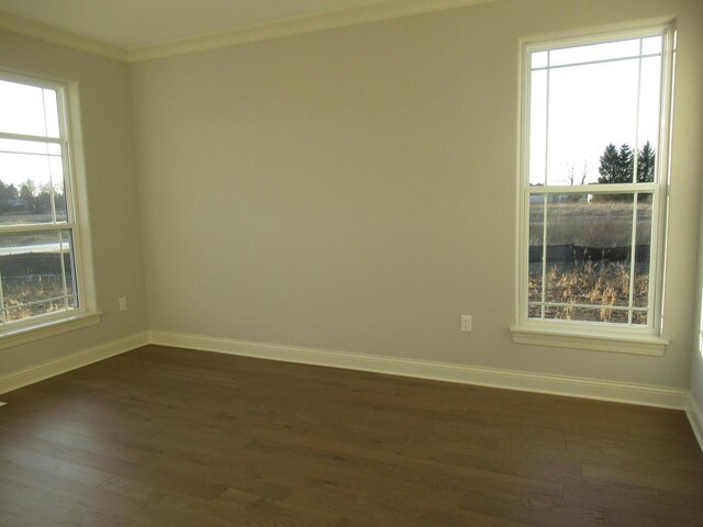 unfurnished room featuring dark hardwood / wood-style flooring and ornamental molding