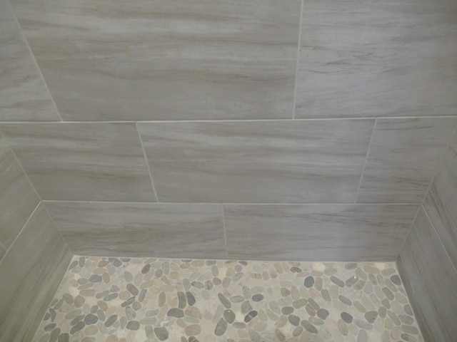 interior details featuring walk in shower