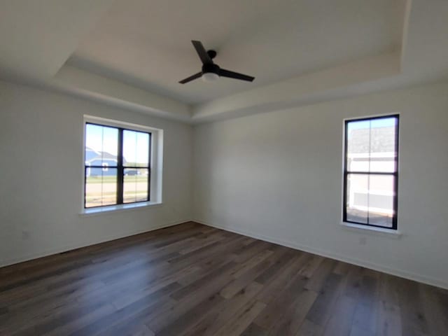 485 Chapman Farm Blvd, Mukwonago, WI 53149 - spare room with a raised ceiling, plenty of natural light, and dark wood-style floors