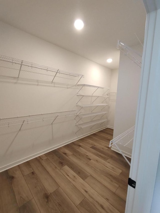 485 Chapman Farm Blvd, Mukwonago, WI 53149 - spacious closet featuring wood finished floors