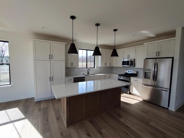 485 Chapman Farm Blvd, Mukwonago, WI 53149 - kitchen with appliances with stainless steel finishes, a sink, wood finished floors, a center island, and light countertops