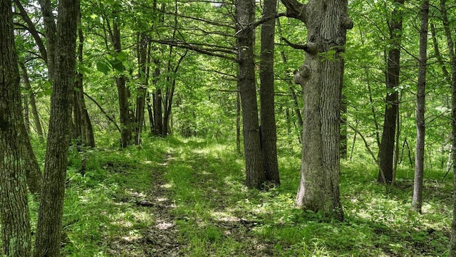 view of landscape