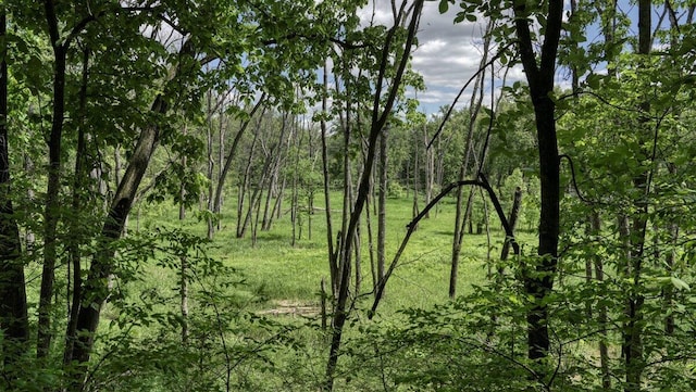 view of landscape