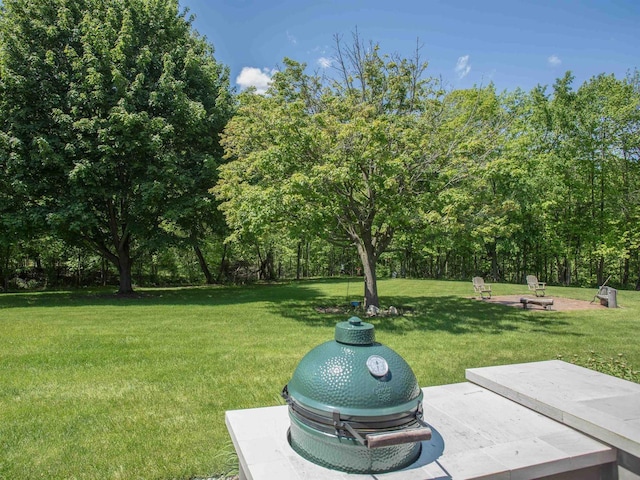 view of yard featuring an outdoor fire pit