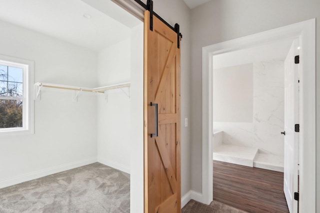 spacious closet featuring carpet floors and a barn door