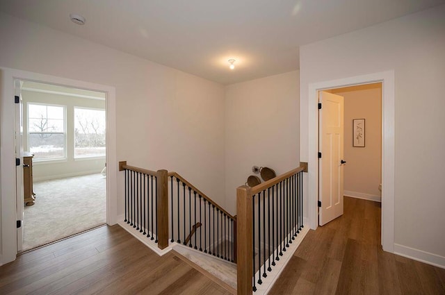 staircase with hardwood / wood-style floors