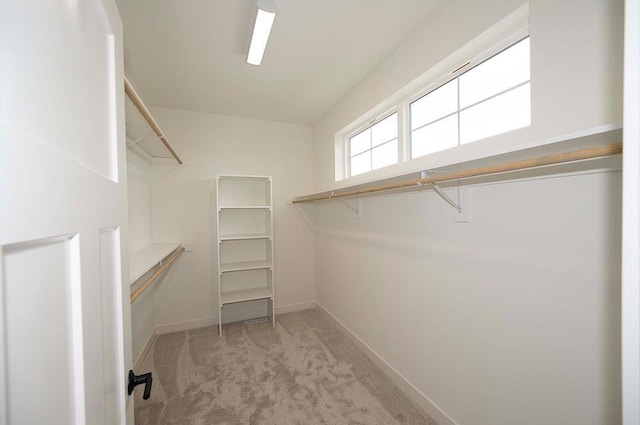 walk in closet with light colored carpet