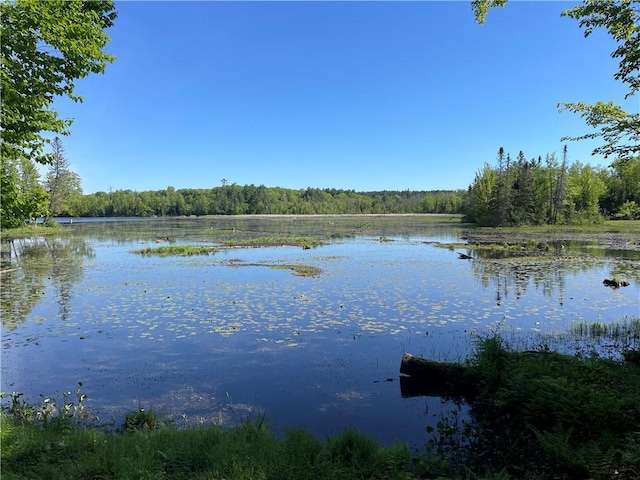 LOT8 Crane Ln, Hayward WI, 54843 land for sale