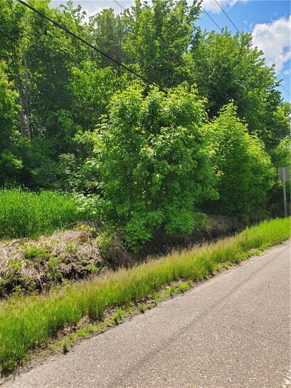 LOT W Chippewa St, Cadott, WI 54727