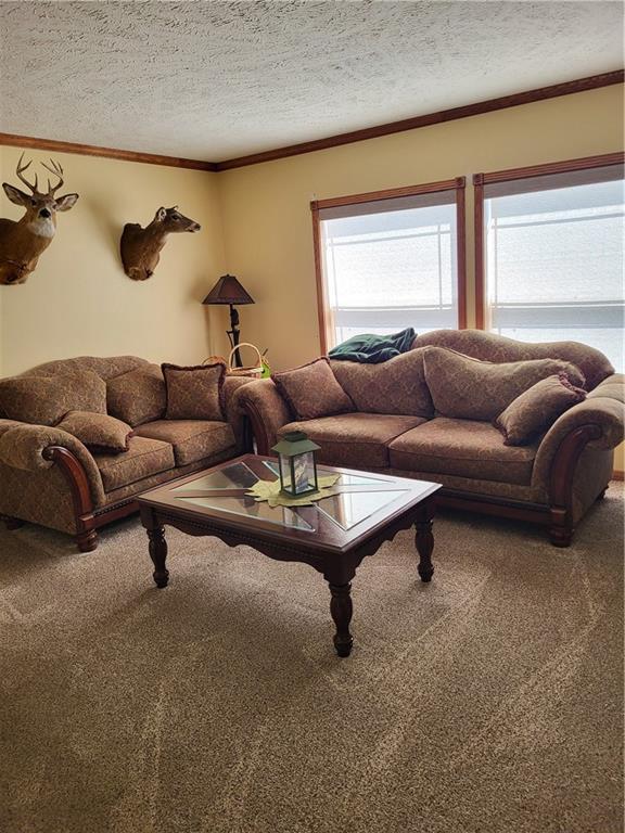 N4131 Valley Rd, Black River Falls, WI 54615