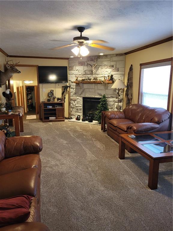 N4131 Valley Rd, Black River Falls, WI 54615