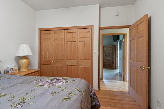 bedroom featuring a closet and light wood-type flooring