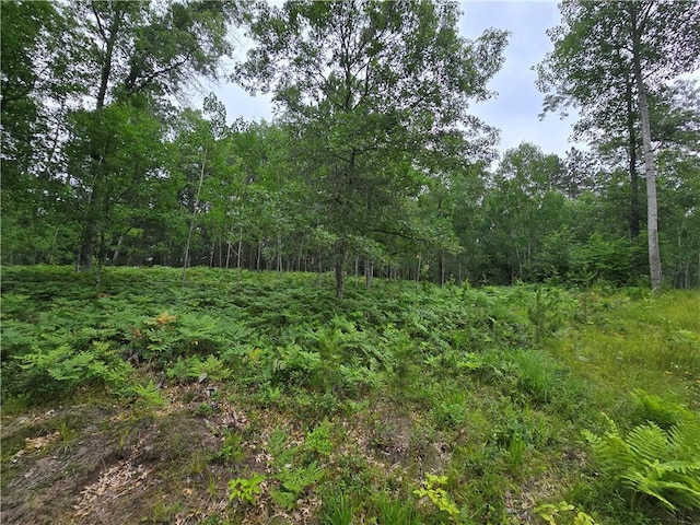 LOT8 Twin Lake Rd, La Follette WI, 54872 land for sale