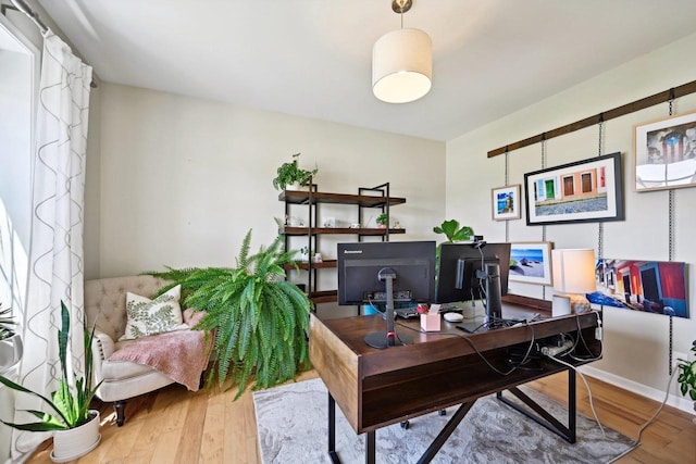 office space featuring wood-type flooring