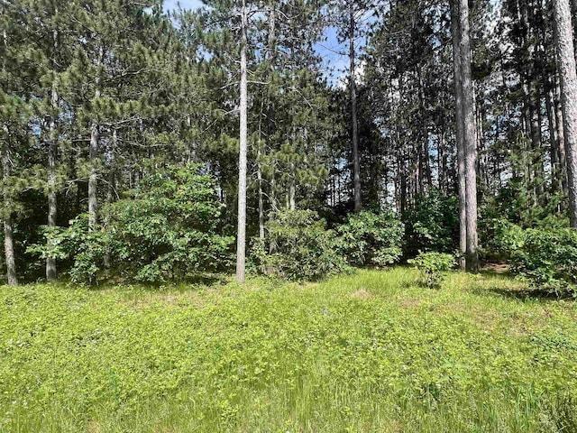 LOT12 Cabin Ct, New Lisbon WI, 53950 land for sale