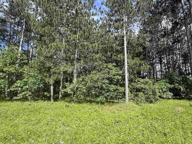 Listing photo 3 for LOT12 Cabin Ct, New Lisbon WI 53950