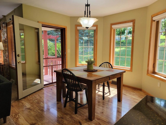 dining area featuring light hardwood / wood-style floors and plenty of natural light