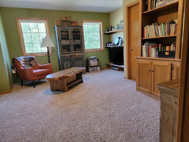 living area featuring light colored carpet