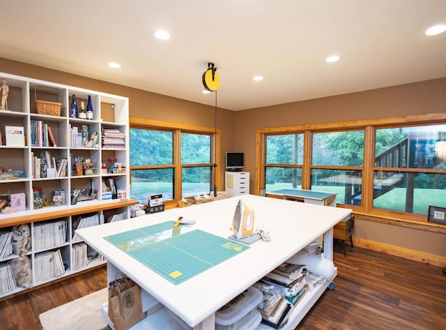 interior space with dark wood-type flooring