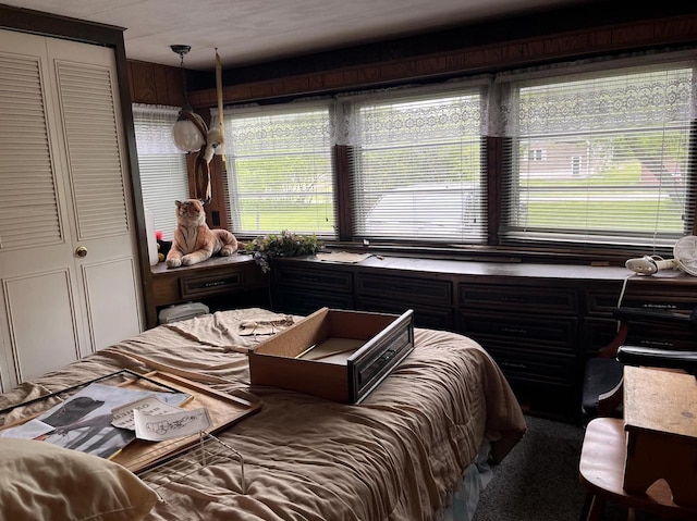 carpeted bedroom with a closet and multiple windows