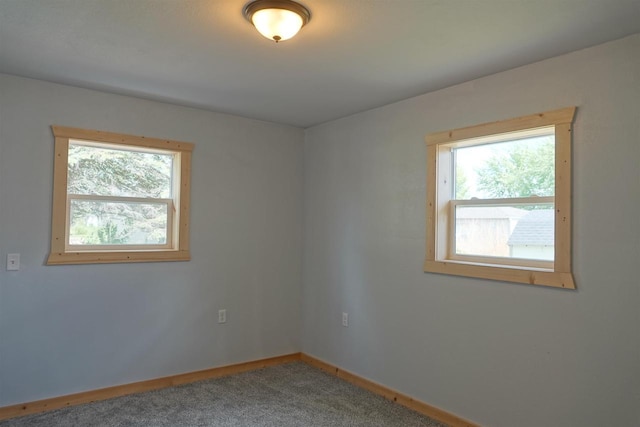 spare room with carpet floors and a wealth of natural light