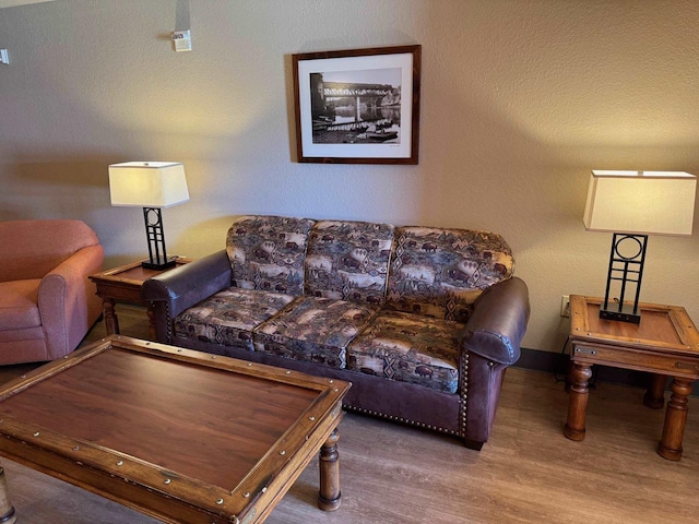 living room featuring hardwood / wood-style flooring