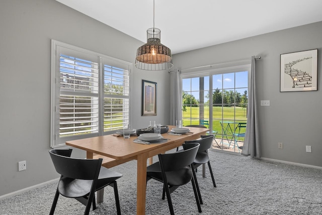 dining area with carpet