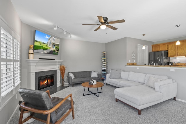 carpeted living room with ceiling fan and rail lighting