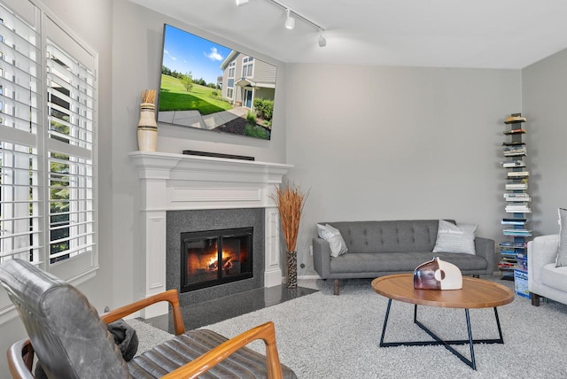 living room featuring track lighting