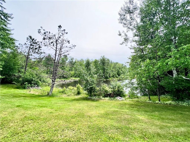 view of yard with a water view