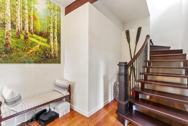 staircase featuring hardwood / wood-style floors