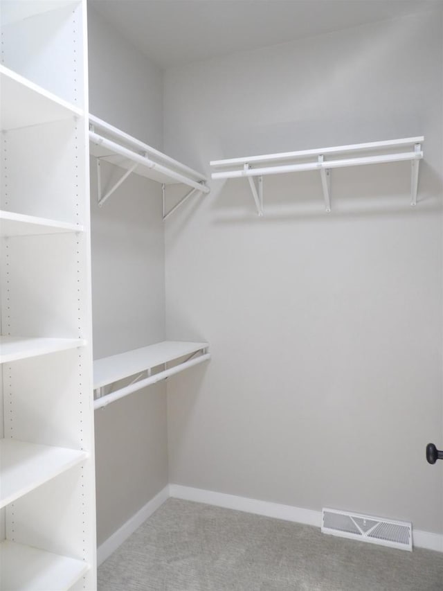 spacious closet with carpet flooring