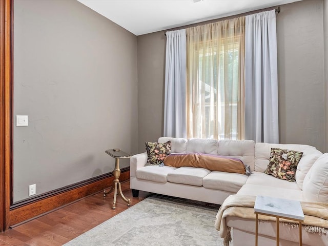 living room with hardwood / wood-style floors