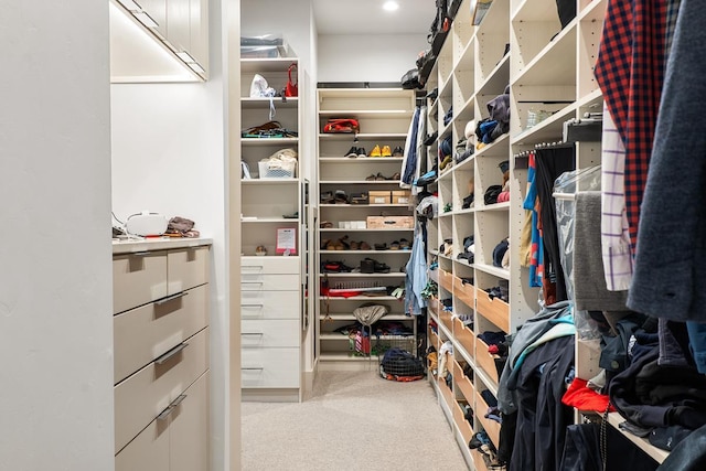 spacious closet with light carpet