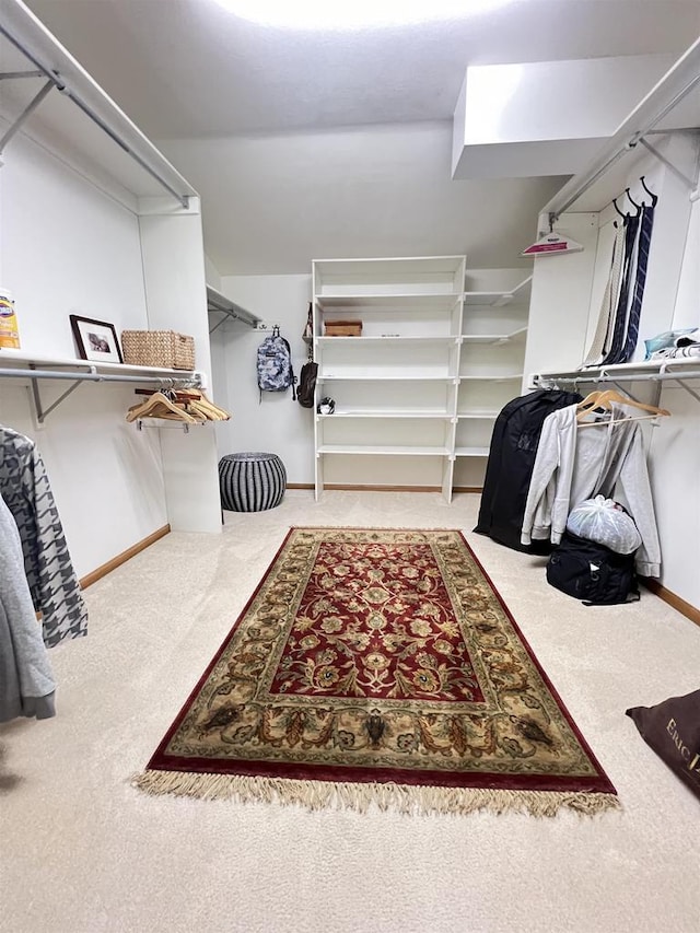 spacious closet with carpet