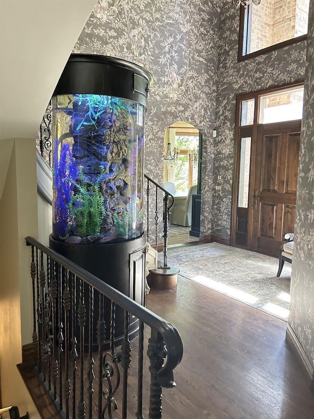 foyer with plenty of natural light and wood-type flooring