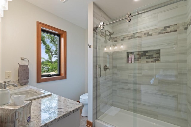 bathroom with toilet, vanity, and walk in shower