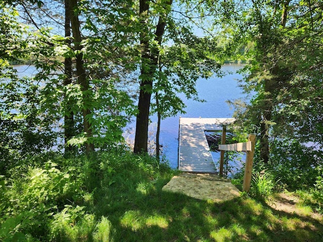 water view featuring a dock