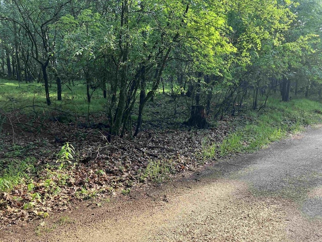 Echo Lake Rd, Wild Rose, WI 54984