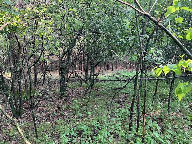 Echo Lake Rd, Wild Rose, WI 54984