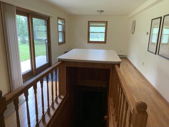 stairway with hardwood / wood-style floors