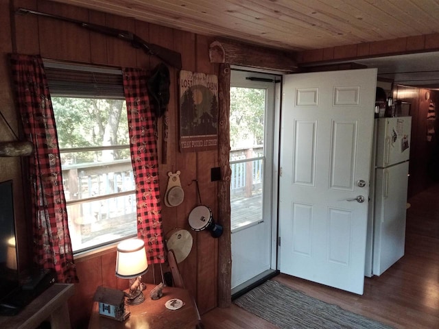 foyer featuring wooden walls, hardwood / wood-style flooring, and a healthy amount of sunlight