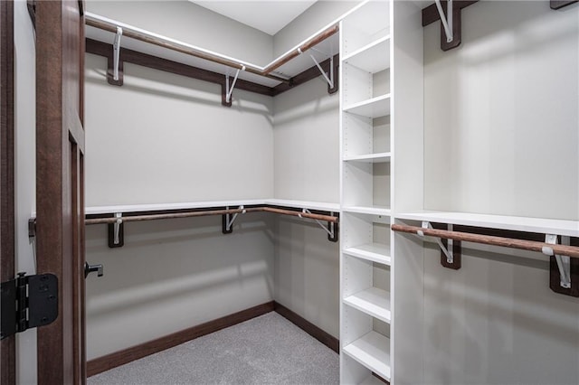 spacious closet with light colored carpet