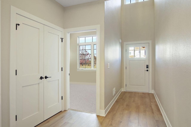 doorway with a wealth of natural light and light hardwood / wood-style floors