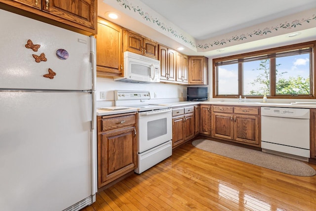 kitchen featuring light wood-type flooring and white appliances