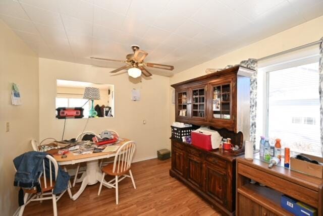 dining room with ceiling fan and light wood-type flooring