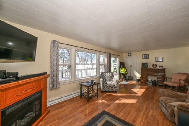 living room featuring wood-type flooring and a baseboard radiator